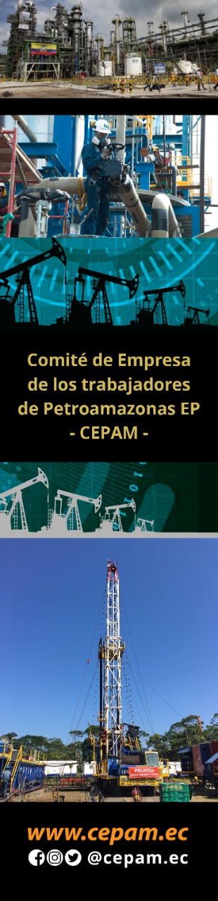 Logo Cepam